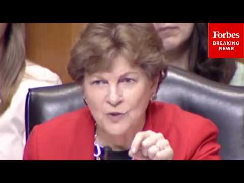 ‘Really The Result Of The War In Iran’: Shaheen Decries Projected Jump In People In Food Crisis