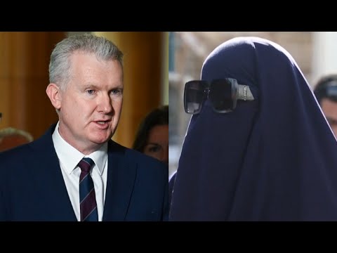 Former foreign minister rejects Labor excuse over ISIS brides’ passports