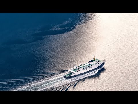 Hantavirus outbreak on cruise ship leaves several dead, human-to-human transmission possible