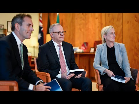 ‘Disappointing’: Albanese government’s ‘only lever’ is tax in their 2026 budget