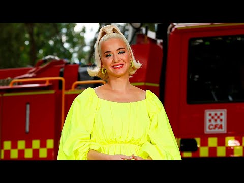 ‘We literally can’t stand you’: Katy Perry slammed over legal fight with disabled veteran