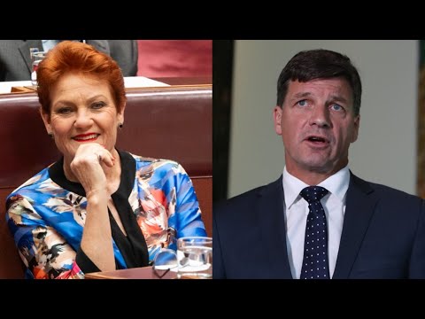 ‘Face total destruction’: One Nation is humiliating the Liberals