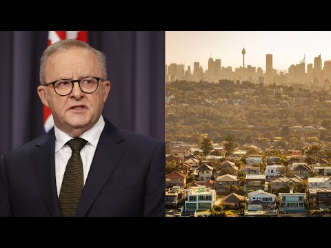 ‘That’s a disincentive’: Albanese’s budget tax changes could worsen housing crisis