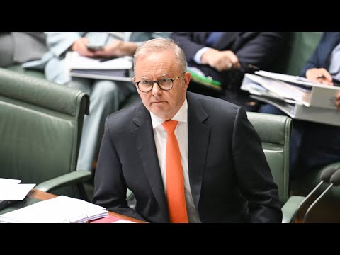 Albanese’s CGT changes risk driving entrepreneurs offshore: Ross Greenwood