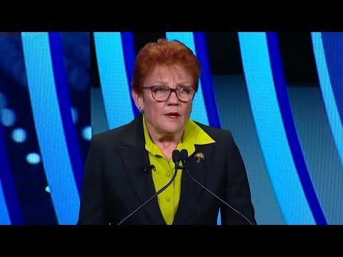 ‘I have a vision for this country’: Pauline Hanson unveils One Nation’s gas policy