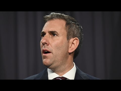 Treasurer weighs in on Chris Minns calling out the Albanese government