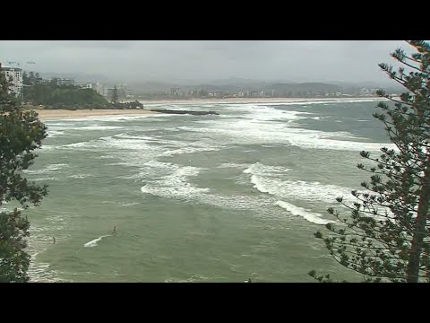 Surf warning issued for Qld and NSW beaches as four-metre waves approach