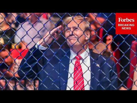 President Trump Previews The UFC Fight That Will Be Held At The White House