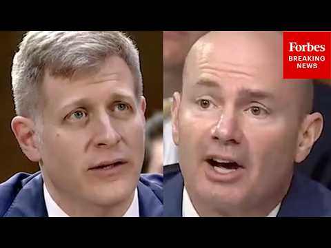 ‘It’s A Good Way To Kill The Vibe At Any Party’: Lee Asks Trump Judicial Nom About Federalist Papers