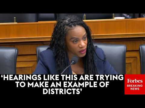 ‘You Will Continue To Tear Families And Children Apart’: Summer Lee Blasts GOP Over Hearing