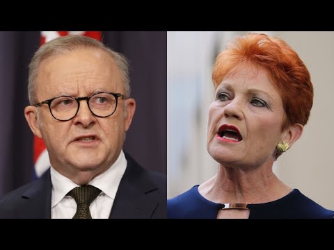 ‘Arrogant’ Albanese dismisses One Nation’s $2.2m ‘Fire the Liar’ campaign as Labor plummets in polls