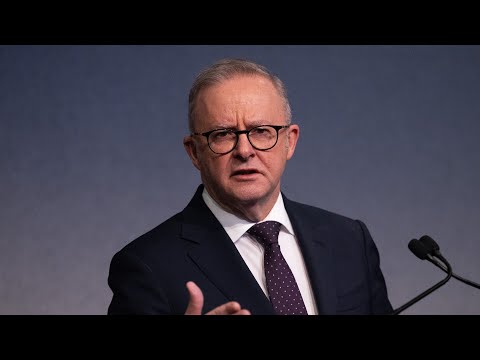 Labor warned to focus on working-class vote amid One Nation surge