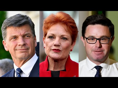 ‘Anything but Labor’: Coalition eyes common ground with Hanson’s One Nation
