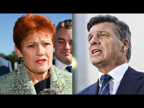 Coalition urged to offer voters genuine solutions amid One Nation noise