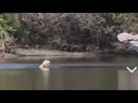 ‘F***ing gobsmacked’: Man survives swim through croc-infested waters