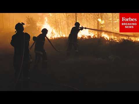 Firefighters Work To Combat Wildfires In Southern France