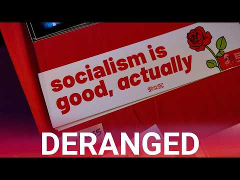 Democratic Socialists’ co-chair blasted for ‘insane’ agendas as friction with Democrats spirals