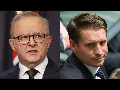 ‘Good on you’: Albanese commends Andrew Hastie for ‘standing up’ to One Nation