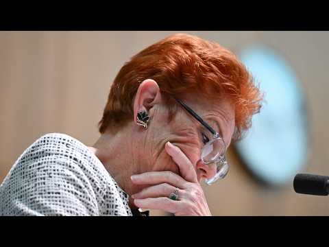 ‘They don’t even know they’re a candidate’: One Nation recruitment ‘like a board game’