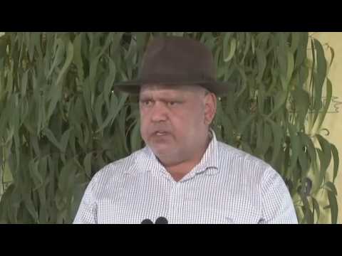 Noel Pearson’s Indigenous bureaucracy push hailed as ‘voice of reason’