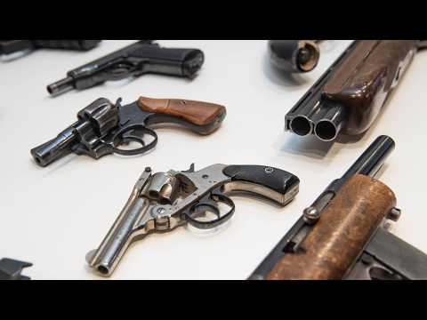 ‘It’s going to punish people’: NSW gun buyback plan under fire
