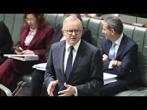 Albanese says Labor will always defend superannuation as One Nation push for changes