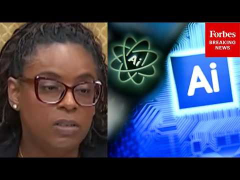 ‘How Would That Benefit Small Businesses?’: Hillary Scholten Asks Tech Expert About AI Bill