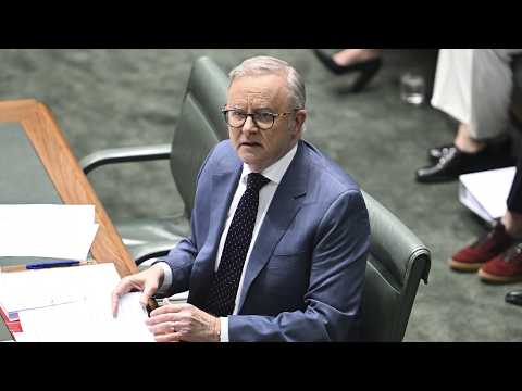 Albanese criticised for ‘open slather’ migration approach
