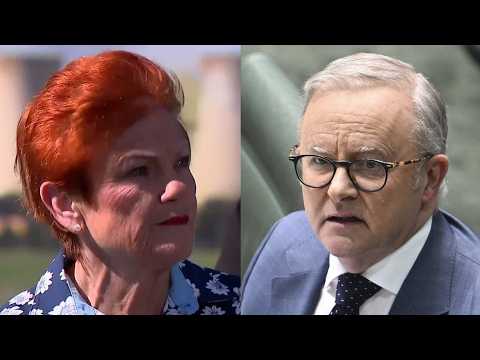 ‘I want him gone’: Pauline Hanson lashes out at ‘pathetic’ Albanese