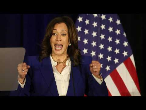 Democrats to pay the price at midterms for allowing radicals to run riot through the party
