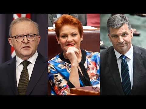 ‘Central strategic challenge’: Coalition and Labor’s response to Hanson ‘hasn’t been working’
