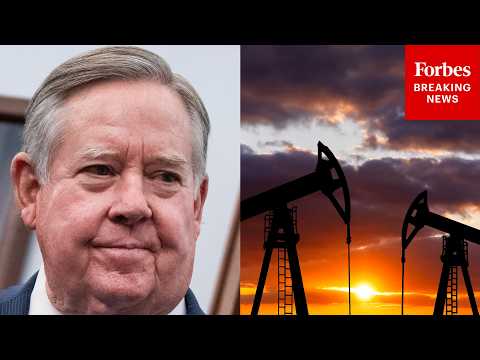 ‘How Do We Solve This?’: Ken Calvert Asks Expert How To Bring Critical Mineral Mining Back To U.S.