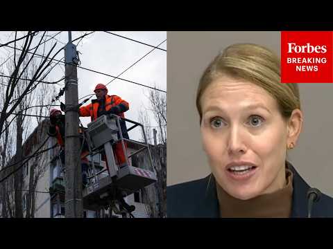 ‘A Single Point Of Failure Is Unacceptable’: Meredith Berger Calls For Better Energy Infrastructure
