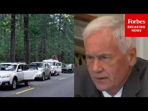 Tom McClintock: We Need To Fix ‘Hopelessly Overcrowded’ National Parks
