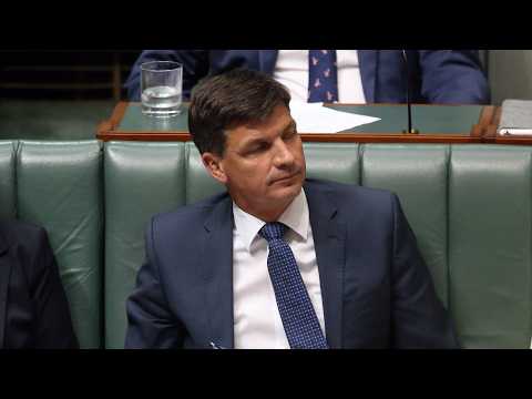 Liberal Party has ‘comical’ belief of Australia’s economy after reducing migration