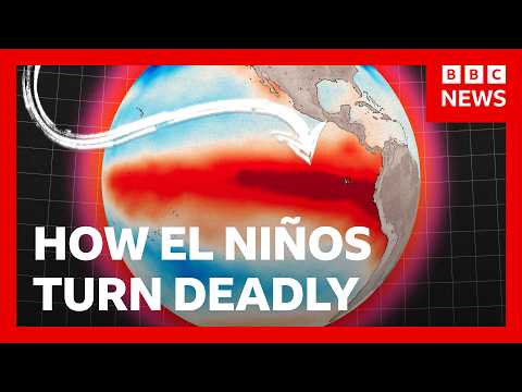 How one of the strongest El Niños became a global disaster | BBC News
