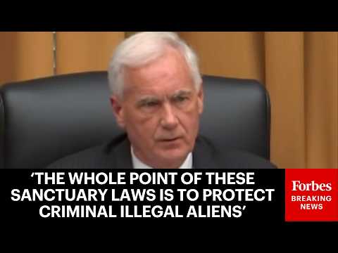 ‘A Bald-Faced Lie’: Tom McClintock Slams Dem Argument Justifying Sanctuary Laws